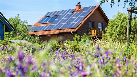 Homestead must-haves: The best solar batteries for off-grid use