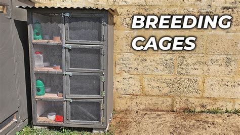 Pigeon Breeding Cages - YouTube