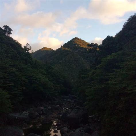 Exploring Yakushima Island Hiking Trails: Unveiling the Best Hiking ...