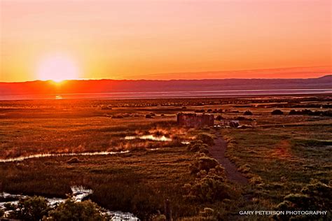 "Alvord Hot Springs Sunrise" I love the mountains, I love the ocean but I am fascinated by the ...