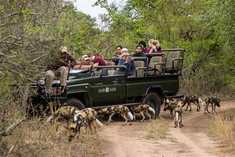 All You Need to Know About a Sabi Sands Safari | Go2Africa