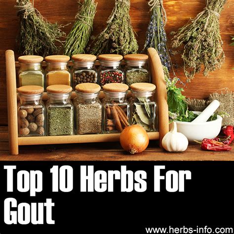 10 Herbs for Gout - Herbs Health & Happiness