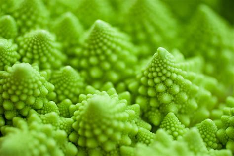 What is a Fractal? - The Ultimate Guide to Understanding Fractals