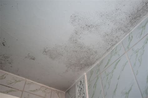 How To Get Rid Of Fungus On Bathroom Ceiling - Artcomcrea