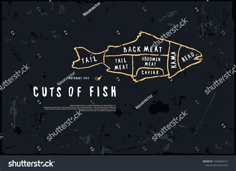 Stock Vector Fish Cuts Diagram Style Stock Vector (Royalty Free) 1045063912 | Shutterstock