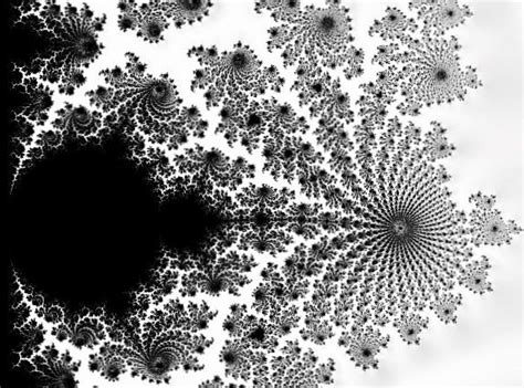 Fractal Art: Black and White Fractal | Fractal art, Fractals, Black and ...