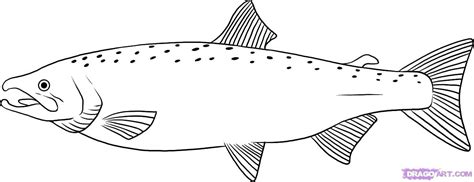 salmon coloring pages how to draw a salmon step 6 salmon coloring pages printable | Salmon ...