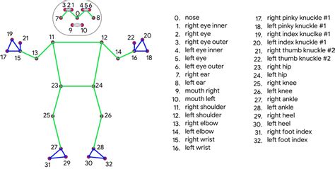 YOLOv7 Pose vs MediaPipe in Human Pose Estimation