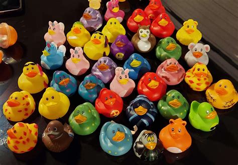 My rubber duck collection #duckgang : r/JackSucksAtLife