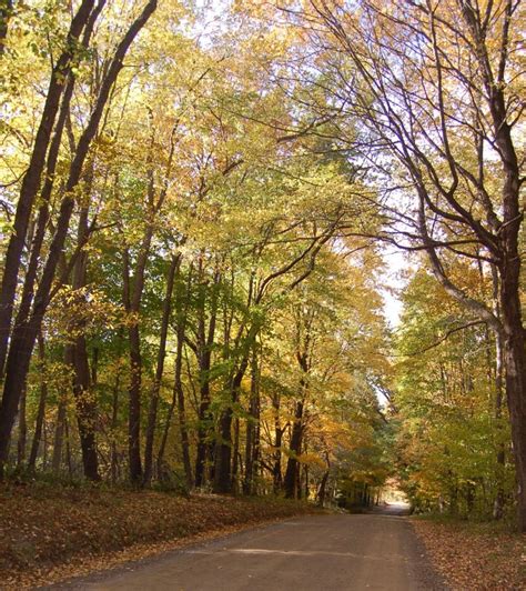 Best Fall Foliage drives midway between Pittsburgh and Erie | Visit Mercer County PA