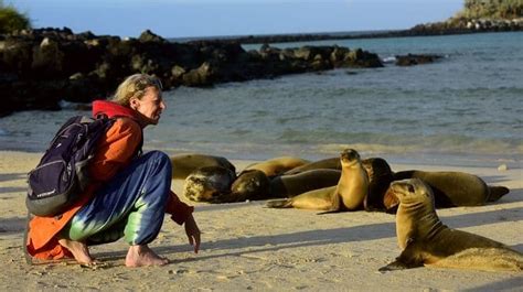 Sustainable Tourism and Conservation in The Galapagos Islands