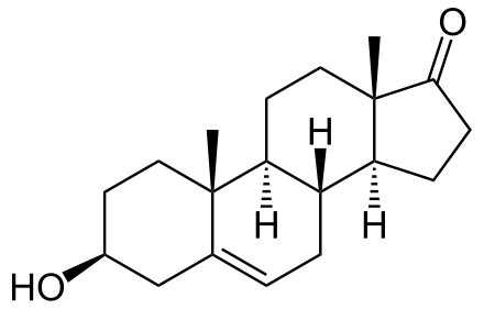 DHEA for Growth Hormone - Supplements in Review