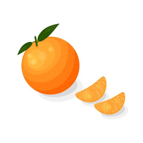 Tangerine in cartoon style. 13858021 Vector Art at Vecteezy