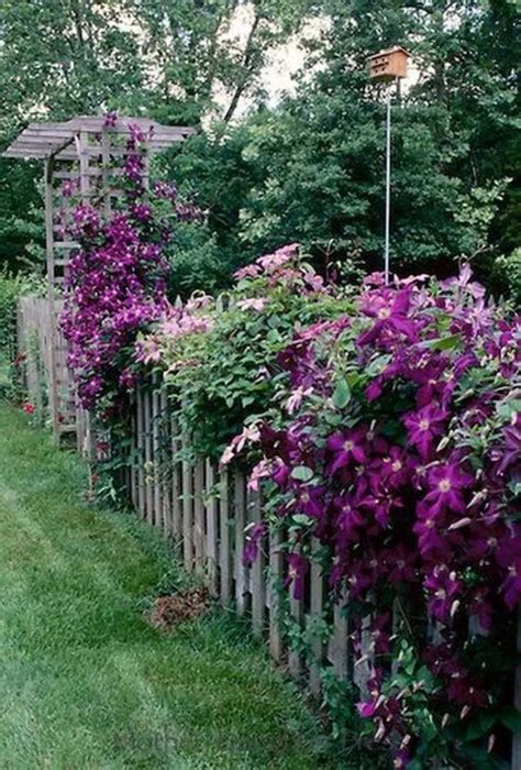 10 Best And Beautiful Living Plants Fence Ideas for Your Garden – GooDSGN | Cottage garden ...