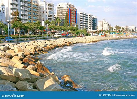 Tropical city stock photo. Image of horizon, background - 14807404