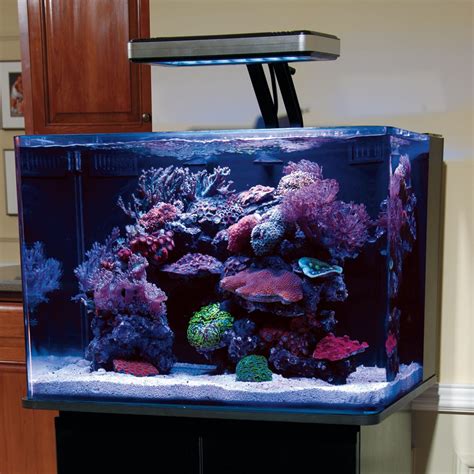 Jbj 45 Gallon Rimless Cube Aquarium - Aquarium Views