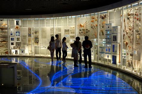 Free Photos: Exhibit in the National Museum of Nature and Science, Tokyo | peopleshot