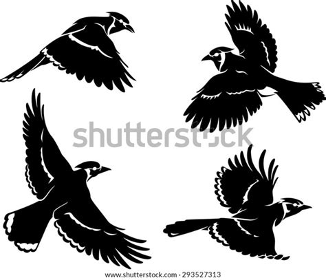 Blue Jay Bird Set Silhouette Stock Vector (Royalty Free) 293527313 ...