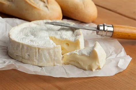 Camembert Cheese; Everything You Need To Know