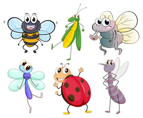 Different insects 360526 Vector Art at Vecteezy