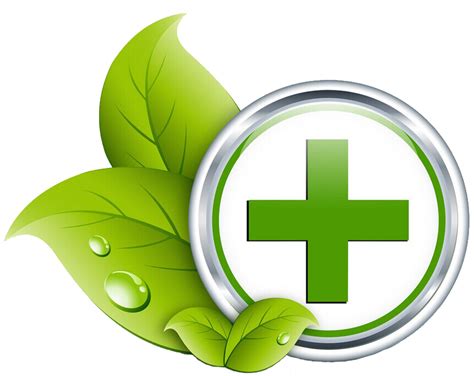 Green Healthcare Medicine Health Care Icon Transparent HQ PNG Download | FreePNGImg
