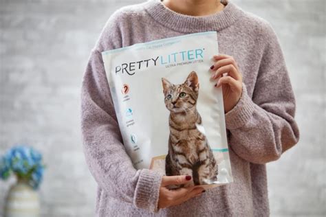 PrettyLitter Health Monitoring Cat Litter Review - Gadget Gram