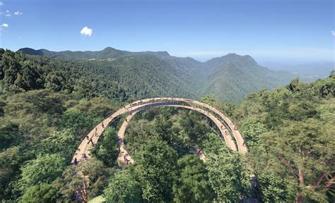 Dorrigo Escarpment skywalk to boost ecotourism | Rainforest multi-day trail