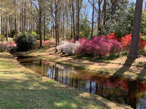 Beautiful Callaway Gardens