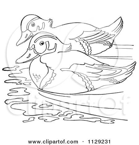 Cartoon Clipart Of An Outlined Wood Duck Pair Swimming Black And | My XXX Hot Girl