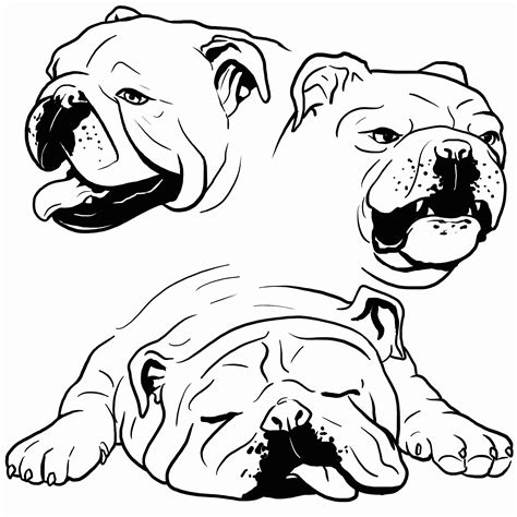 Baby Bulldogs Coloring Pages