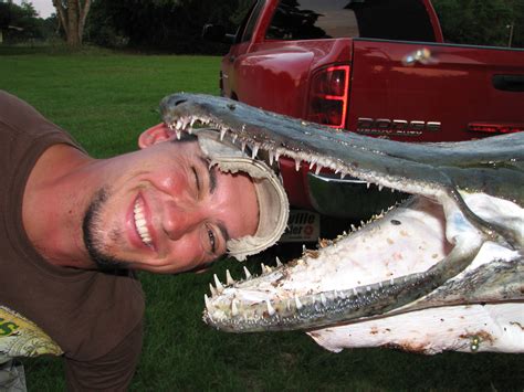 The best fishing guide service for trophy alligator gar in texas