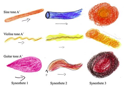 Auditory-Visual Synesthesia - Neurowiki 2014