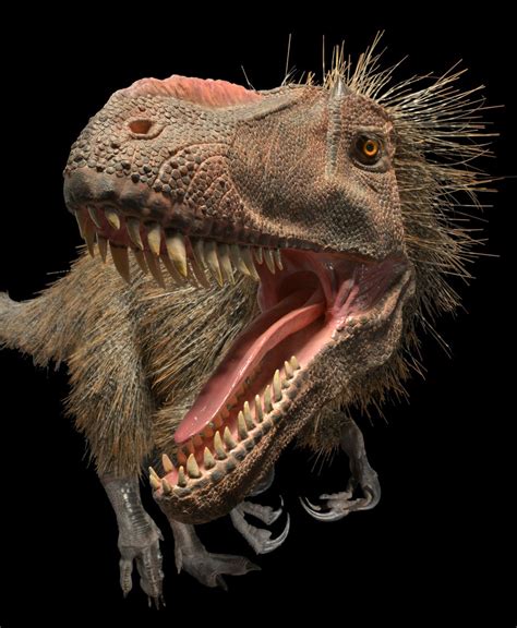 Yutyrannus huali sported a shaggy coat of the filaments called “proto-feathers.” - scoopnest.com