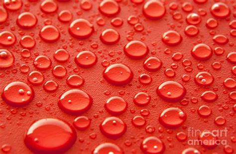 Red water drops Photograph by Blink Images - Pixels