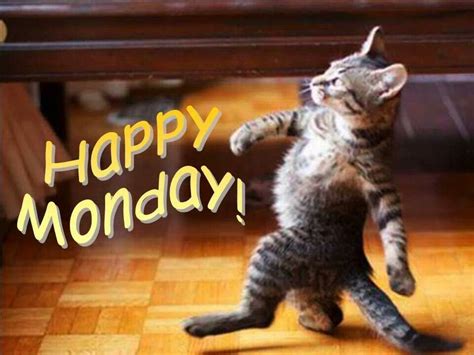 17+ Pictures Of Happy Monday Morning | Happy Birthday Gif Funny ...