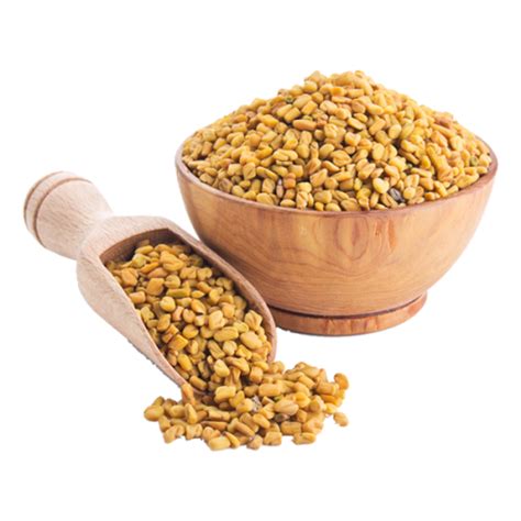 Whole Spices - Fenugreek Seeds (Methi Seeds) Manufacturer from Mumbai