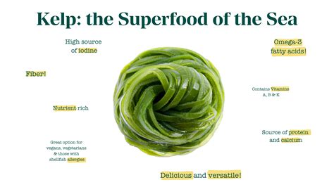 Kelp: The Superfood of the Sea