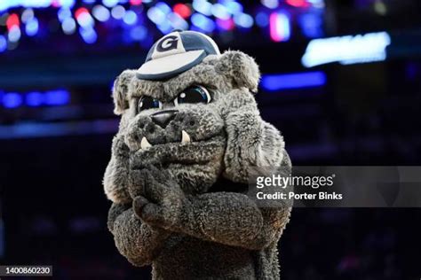 Seton Hall Mascot Photos and Premium High Res Pictures - Getty Images