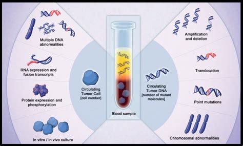 Circulating Tumor DNA as a Biomarker in Advanced Colorectal Cancer – OncoPrescribe