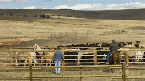 New Wyoming Law Lets Local Ranchers Sell Cuts of Meat Directly to Consumers