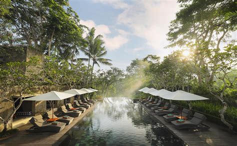 Infinity Forest Pool | Maya Ubud Resort & Spa