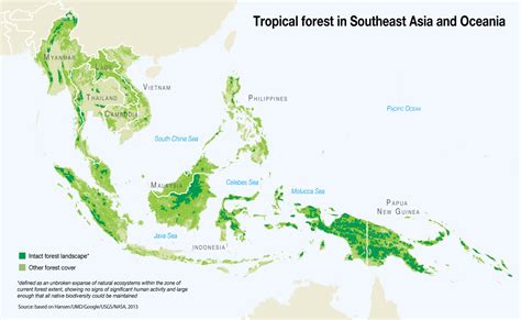 Tropical forest in Southeast Asia and Oceania | GRID-Arendal