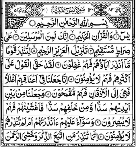 Surah Yasin. Surah Yasin | by READ QURAN ONLINE | Medium