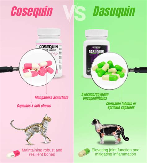 Cosequin vs Dasuquin for Cats: Which Joint Supplement is Better?