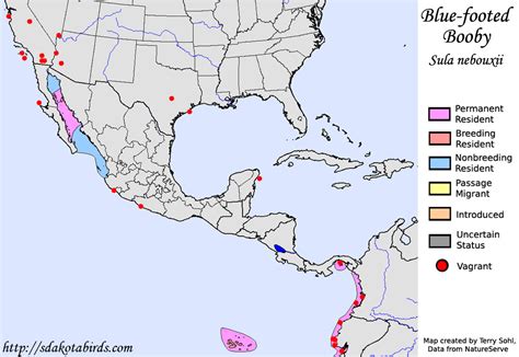 Blue-footed Booby - Species Range Map