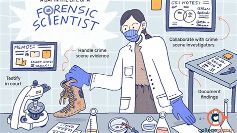 Forensic Science Salary 2024: Scope, Placements, and Government Jobs 2024 in India | CollegeSearch