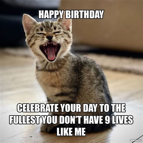 Cute Cat Happy Birthday Meme