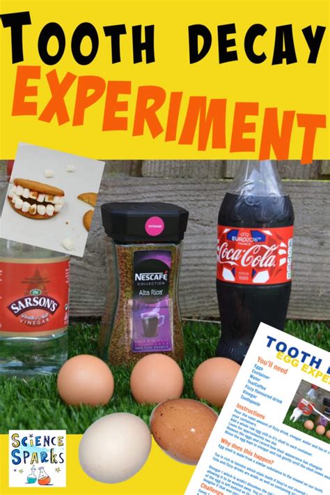 FREE Science Printable Experiment Instructions - Science Resources