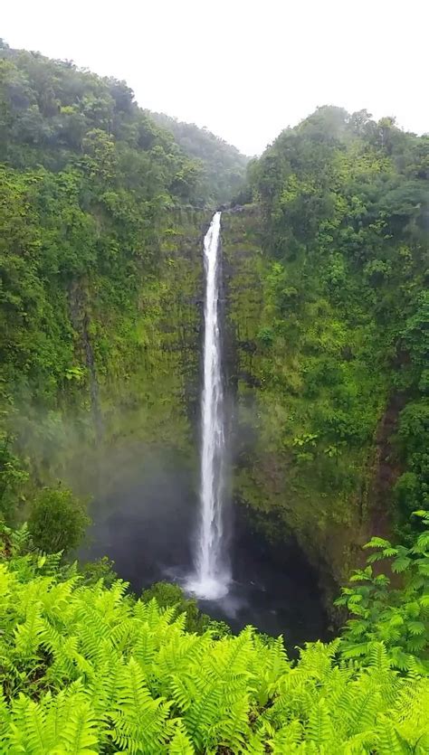 Akaka Falls loop trail in Hawaii: Hike the circle route to waterfalls in Akaka Falls State Park ...