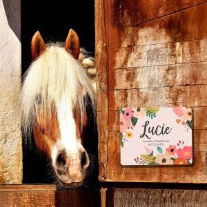 14 Stall Signs for Your Horse Barn - STABLE STYLE